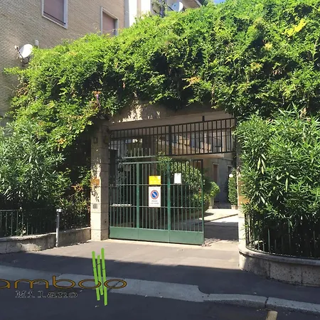 Bamboo Duomo Daire